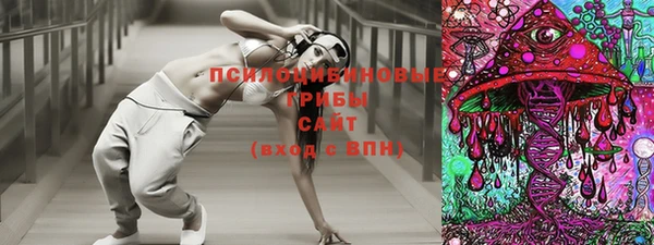 соль ск Богородск